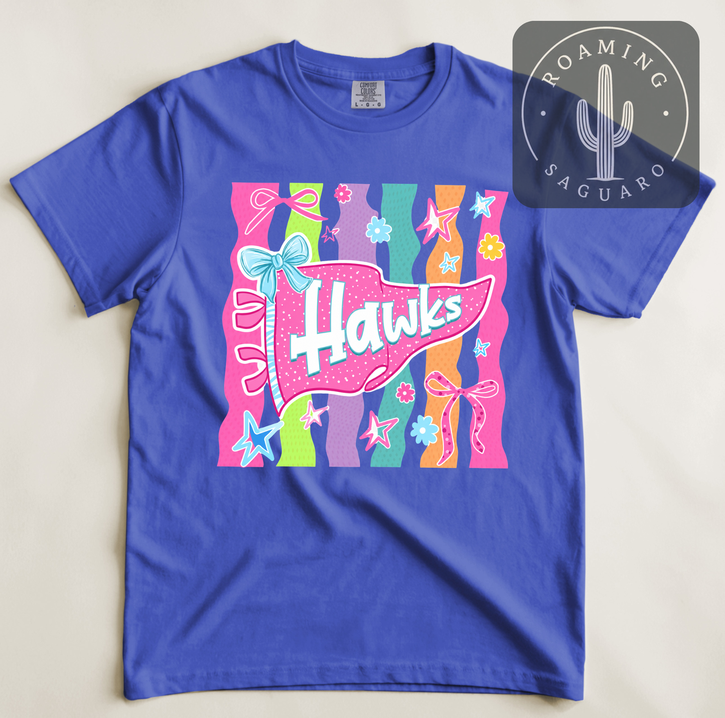 Colorful Hawks Pennant